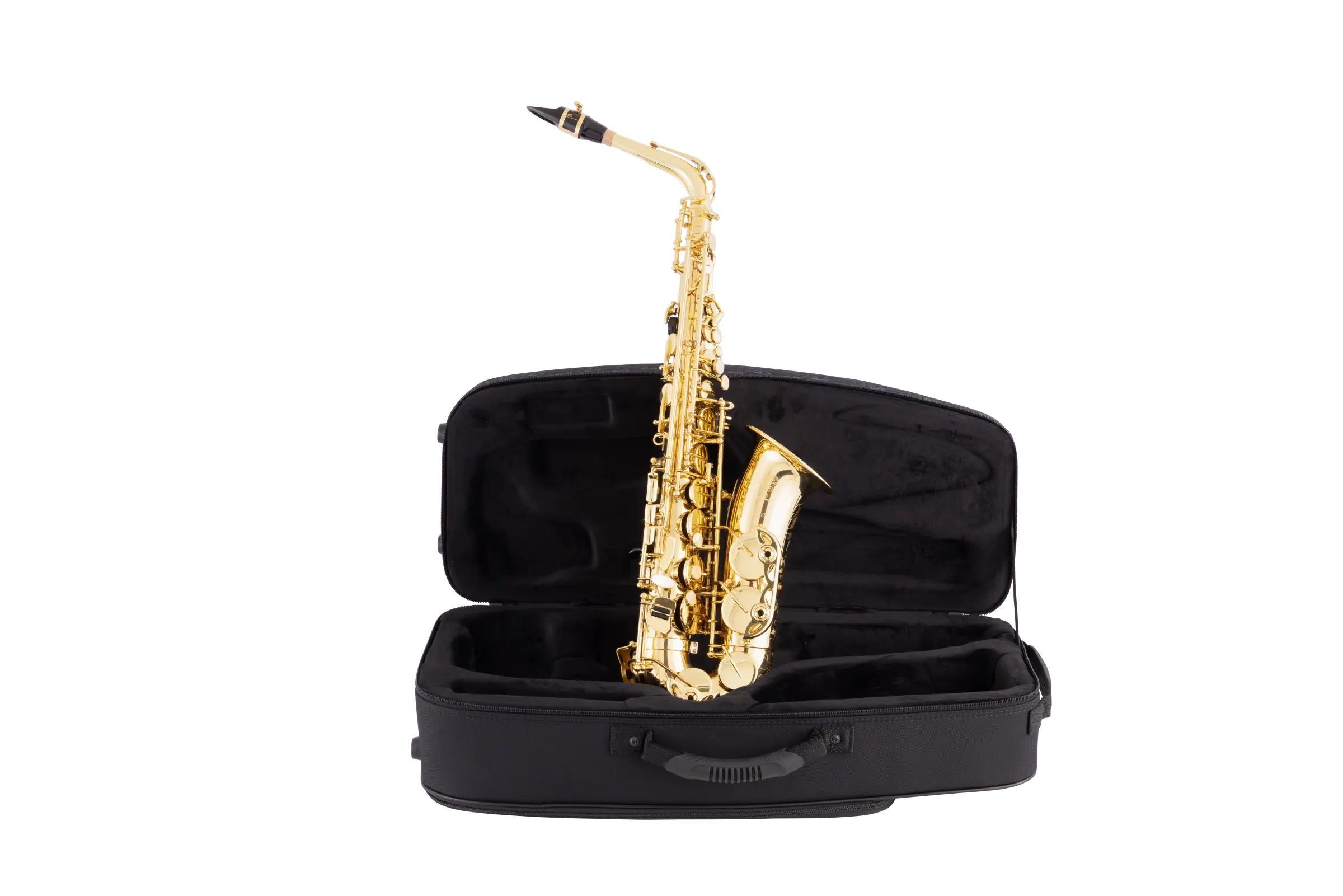 52AXOS HSP Professional AltoSaxophone - zoomed in