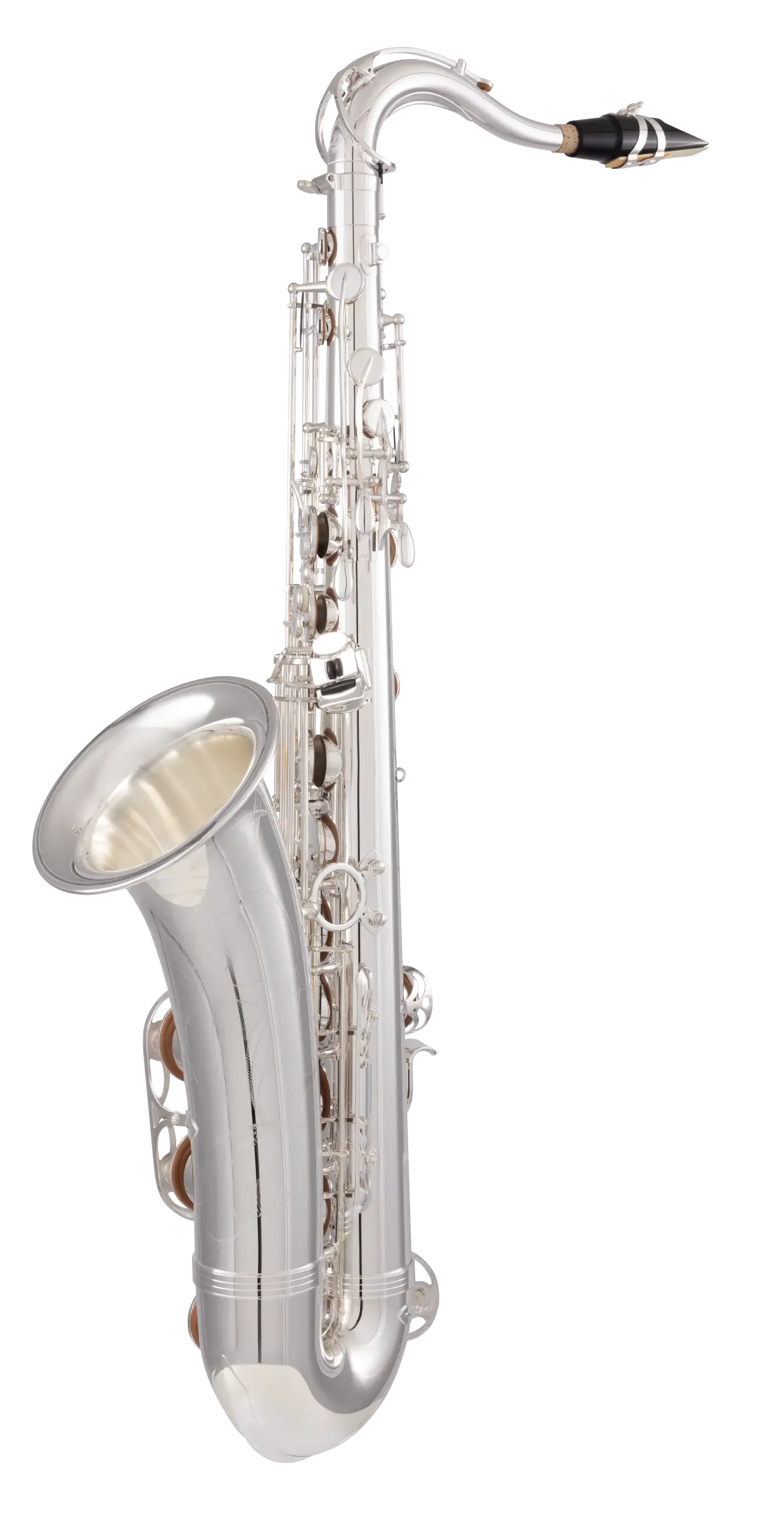 TWO10S Yanagisawa Professional TenorSaxophone - zoomed in