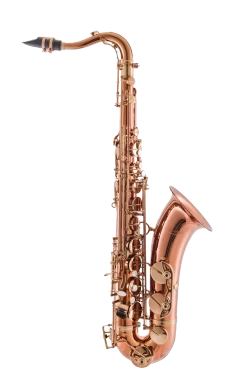 Leblanc Premiere Tenor Saxophone in Bb LTS711DL