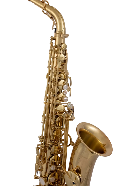 AW010 Yanagisawa Professional Alto Saxophone