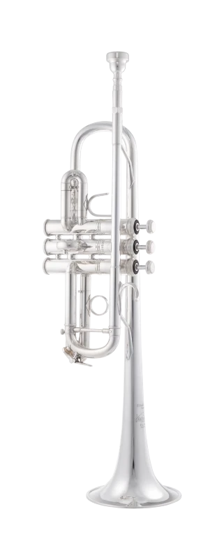 C190SL229C