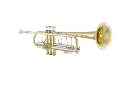 Bach Stradivarius Trumpet in Bb 18043