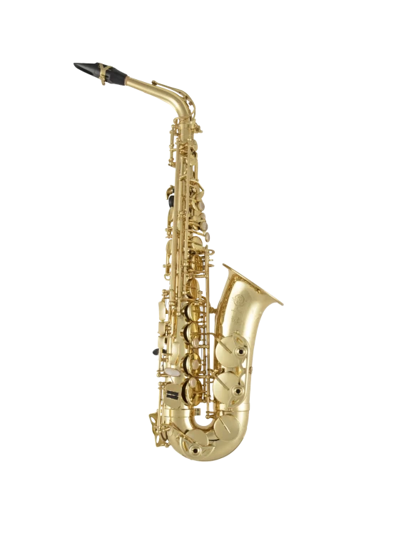 52JU Selmer Paris Standard Alto Saxophone In Fr Vr Fs