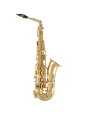 52JU Selmer Paris Standard Alto Saxophone In Fr Vr Fs