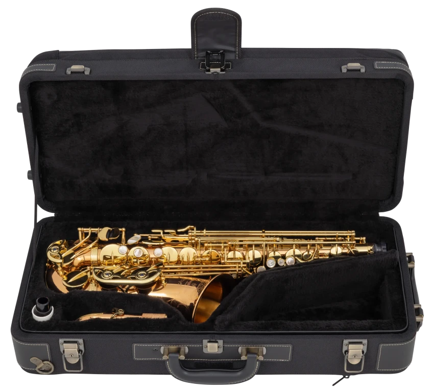 AW020 Yanagisawa Professional Alto Saxophone
