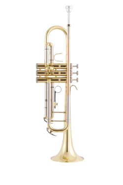 Bach Trumpet in Bb BTR202