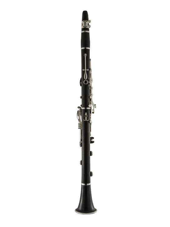 A16SIGEV HSP Professional Standard Clarinet In Bk Vr Fs