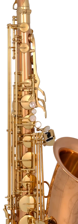 TWO20 Yanagisawa Professional Tenor Saxophone
