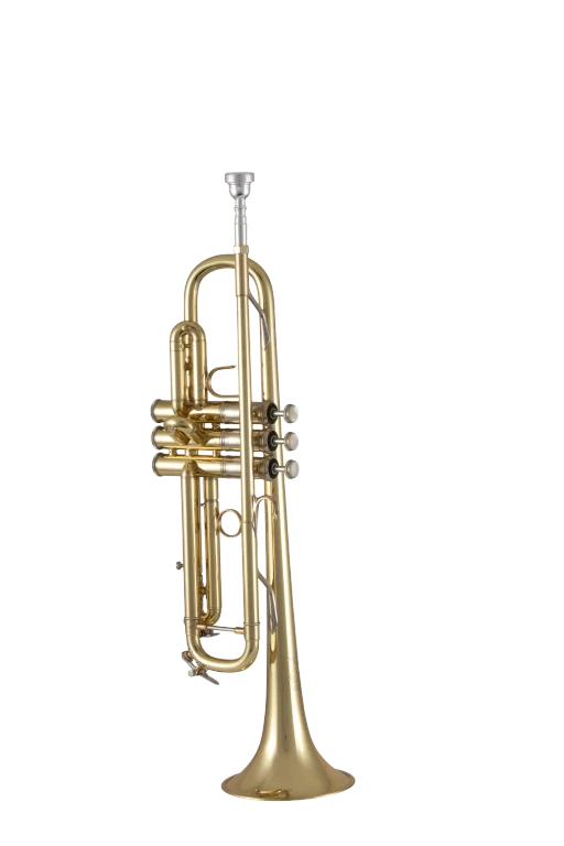 190M37X Bach Standard Professional BflatTrumpet