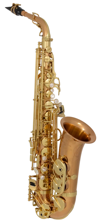 AW020 Yanagisawa Professional Alto Saxophone