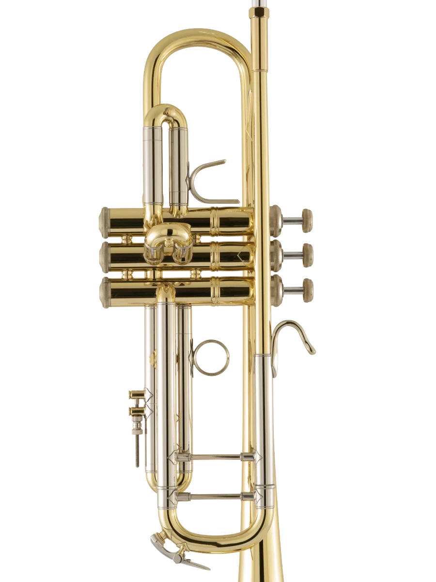 18037 Bach Standard Professional Trumpet In Fr Vr Ms