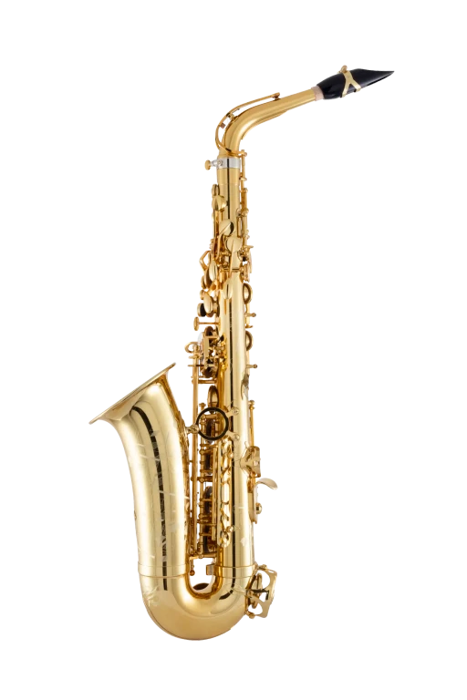 82SIG HSP Professional Alto Saxophone