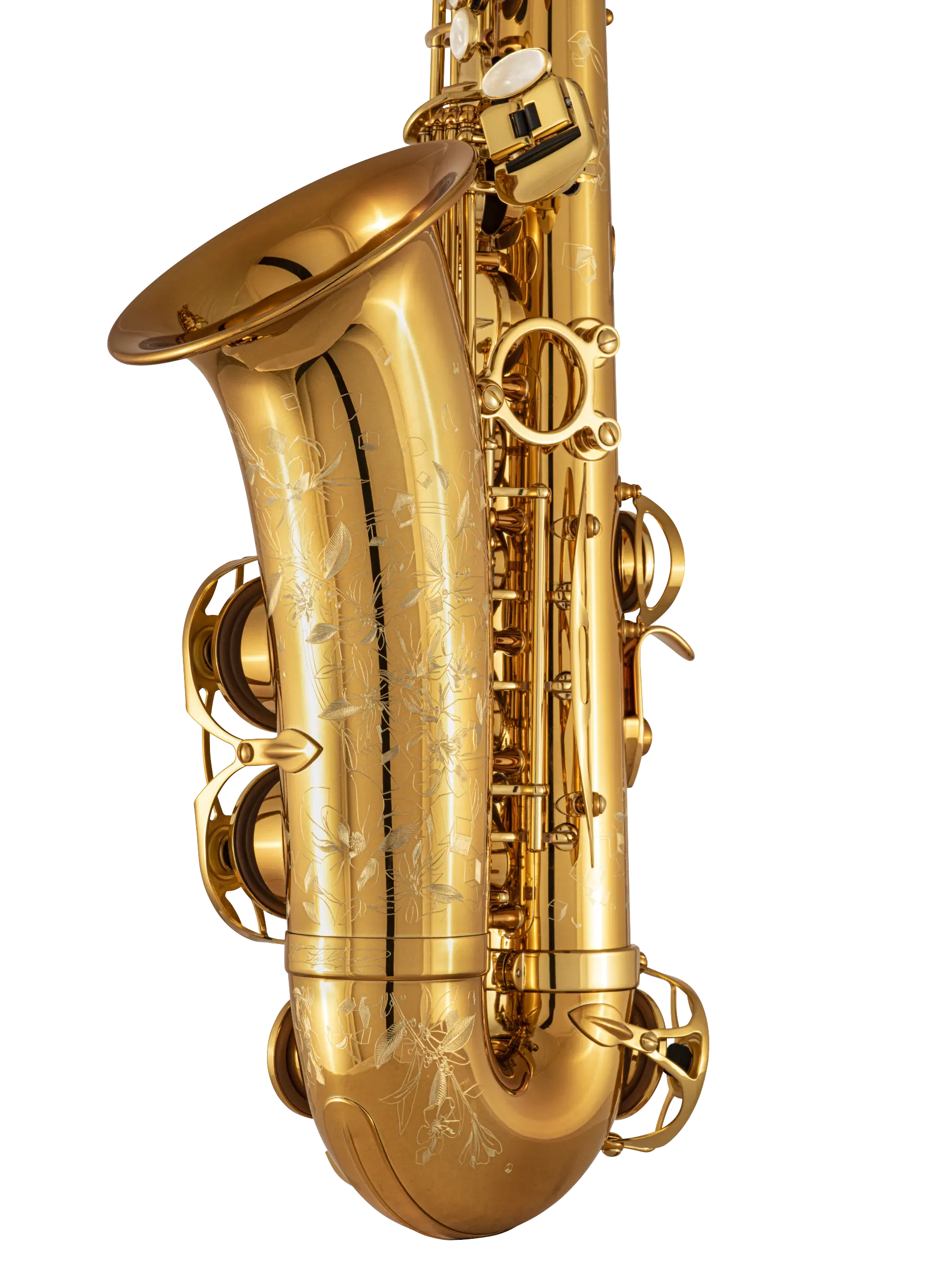 92DL HSP Professional Standard Alto Saxophone In Bk Vr Ls - zoomed in