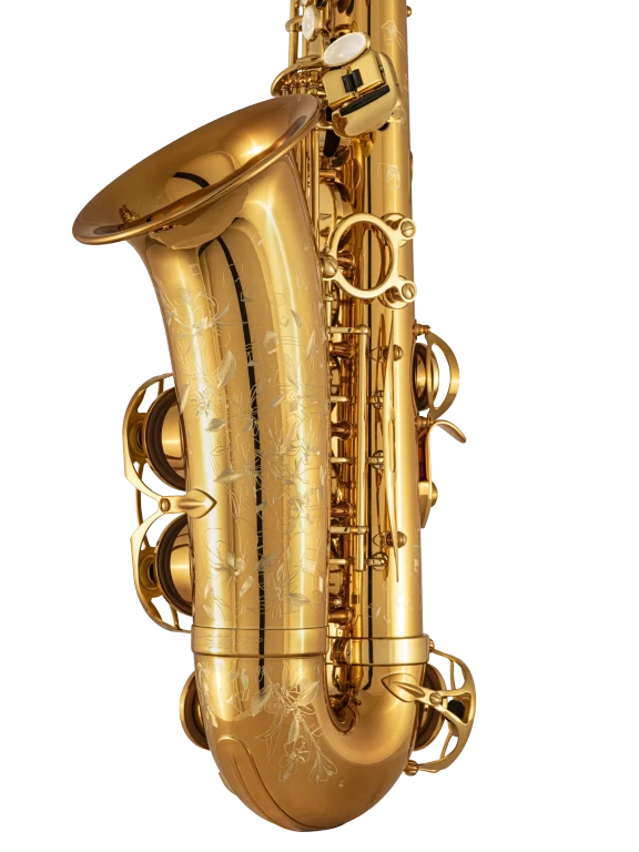 92DL HSP Professional Standard Alto Saxophone In Bk Vr Ls