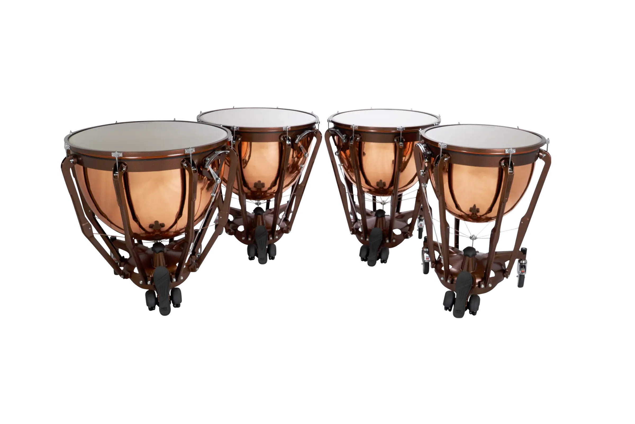 LTP504PG Ludwig Timpani Standard - zoomed in