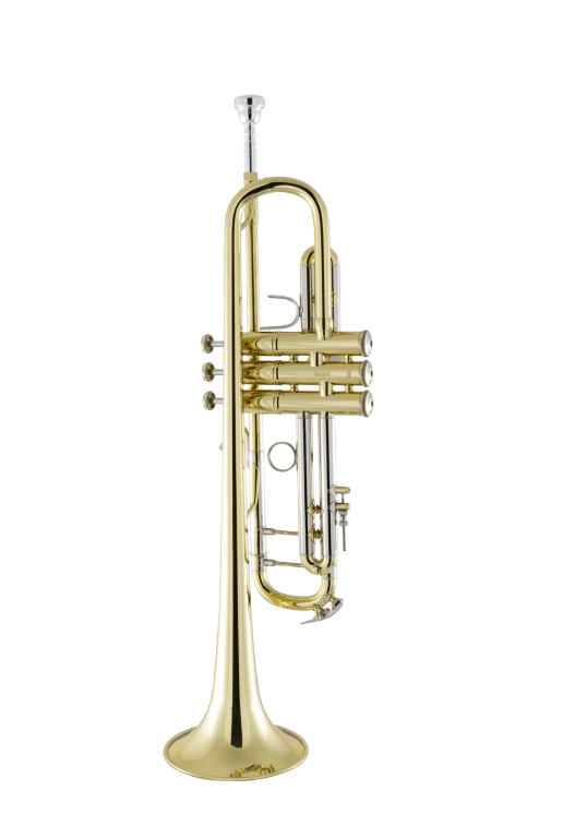 18043 Bach Professional Standard Trumpet In Bk Vr Fs