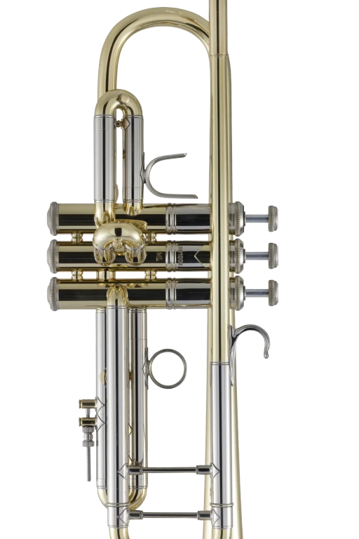 19037 Bach Professional Trumpet