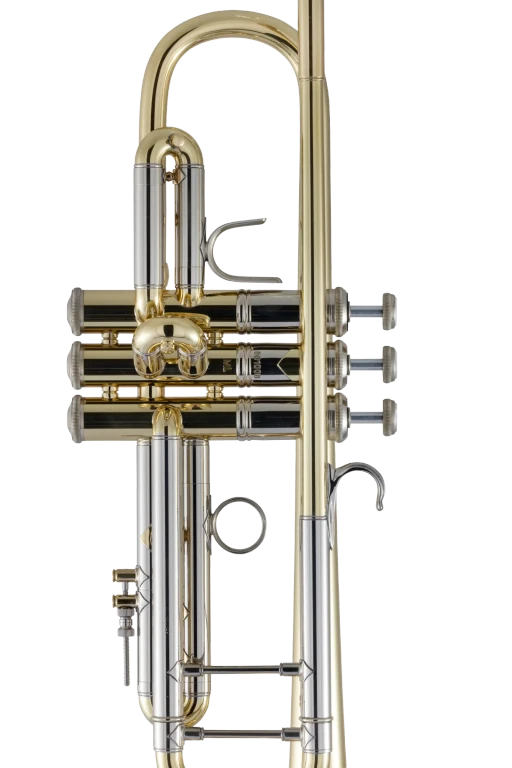 19037 Bach Professional Trumpet