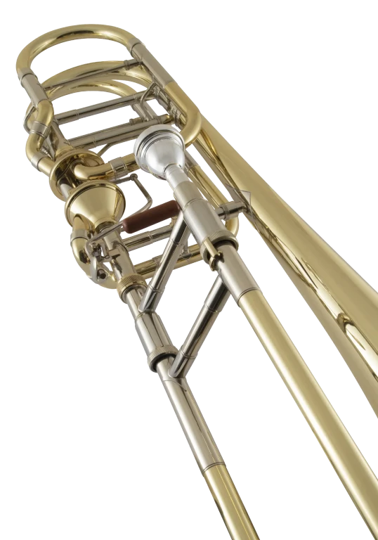 50AF3 Bach Professional Standard Bass Trombone In Sd Vr Ts