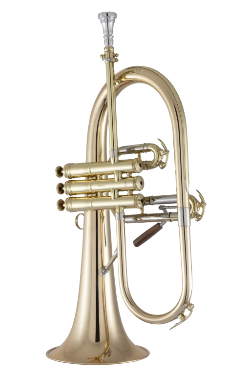 1FG Conn Professional Flugel Horn