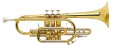 Bach Stradivarius Cornet in Bb 181