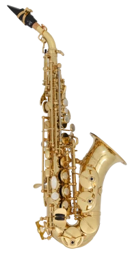 Yanagisawa Elite Soprano Saxophone in Bb SCWO10