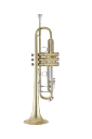 Bach Stradivarius Trumpet in Bb 19043