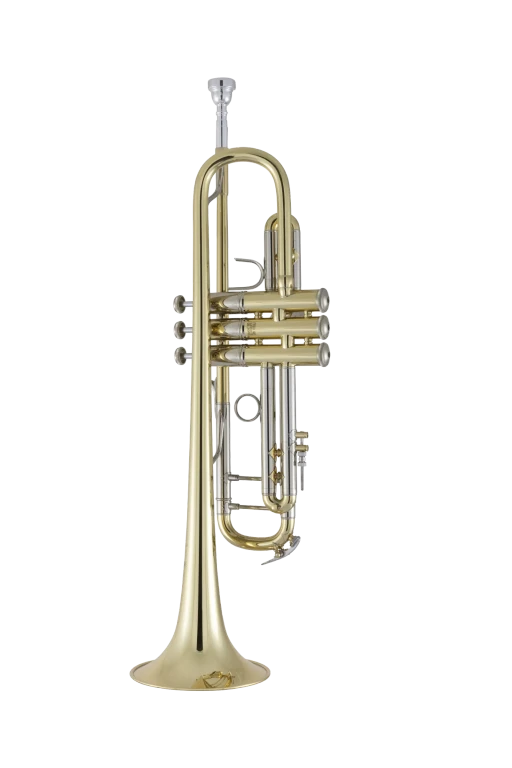 19043 Bach Professional Trumpet