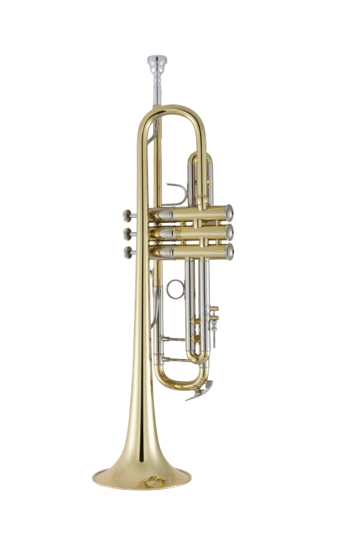 19043 Bach Professional Trumpet