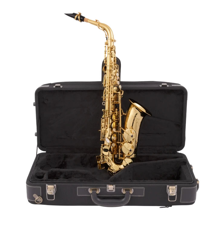 AW010 Yanagisawa Professional Alto Saxophone