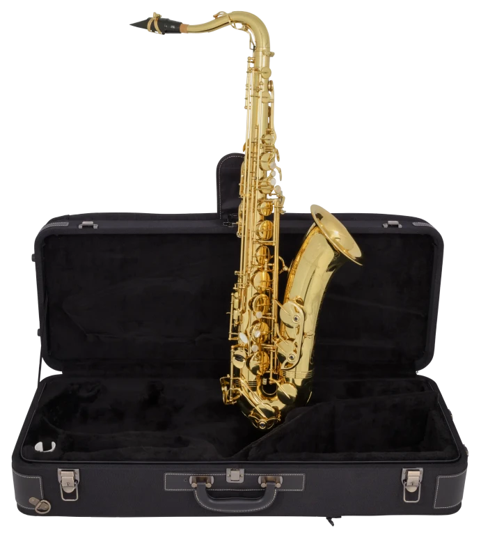 TWO10 Yanagisawa Professional Tenor Saxophone