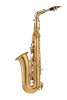 Slide 2 Thumbnail