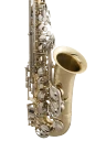 Selmer Alto Saxophone in Eb SAS301