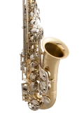 Selmer Alto Saxophone in Eb SAS301