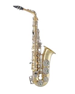 Selmer Alto Saxophone in Eb SAS201