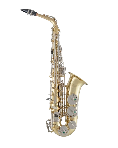 Selmer Alto Saxophone in Eb SAS201