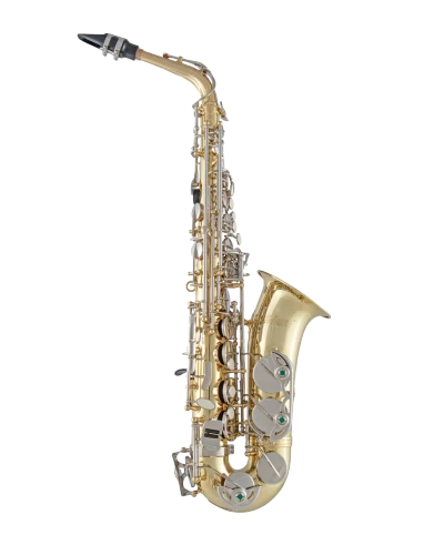 Selmer Alto Saxophone in Eb SAS201