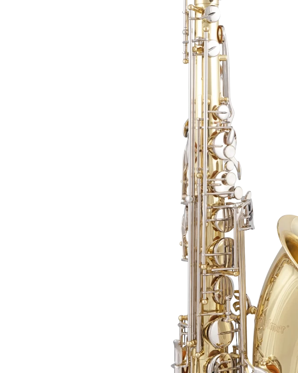 STS301 Selmer Student TenorSaxophone D