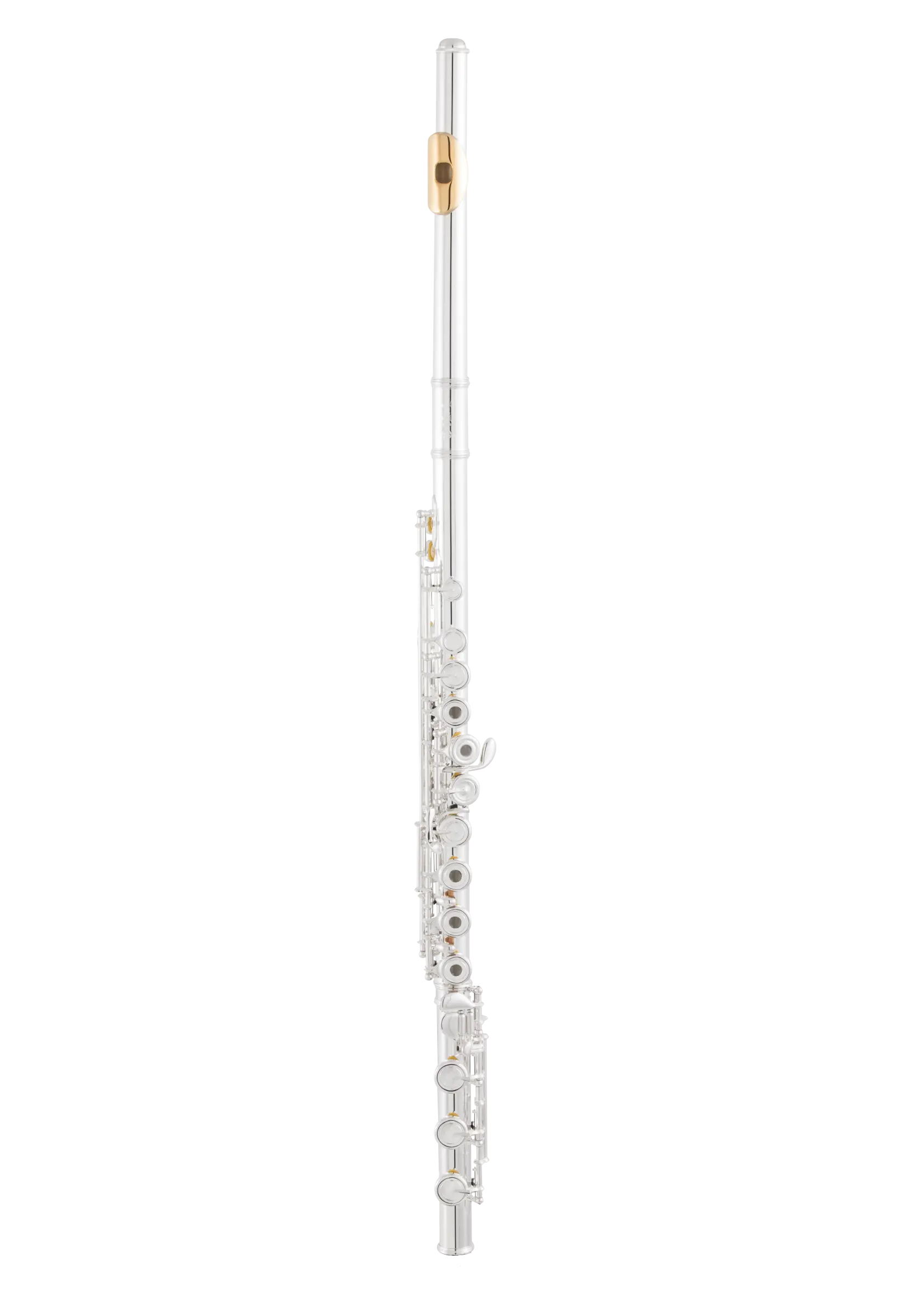 SFL401BEO Selmer Advanced Flute - zoomed in