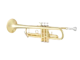 Bach Trumpet in Bb BTR411