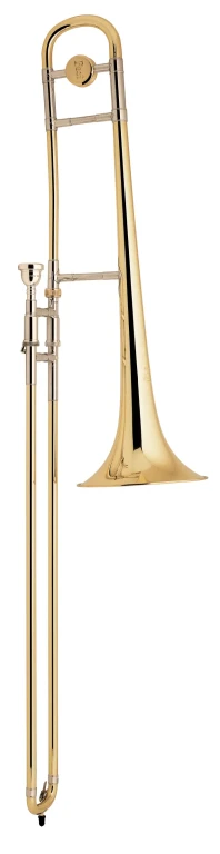 12 Bach Professional Trombone