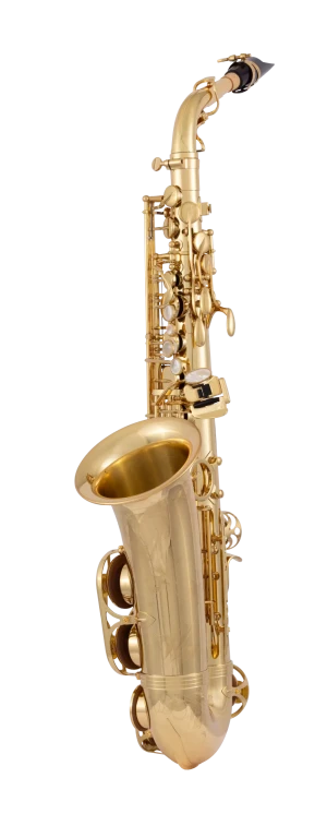 AW010 Yanagisawa Professional Alto Saxophone