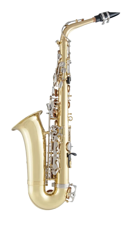 SAS201 Selmer Standard Student Alto Saxophone
