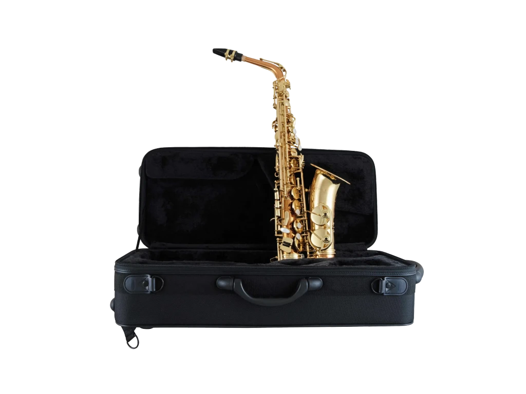 SAS511C Selmer Copper Intermediate Alto Saxophone Ic Fr Hz