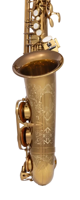 82SIGUSA1 HSP Professional  Alto