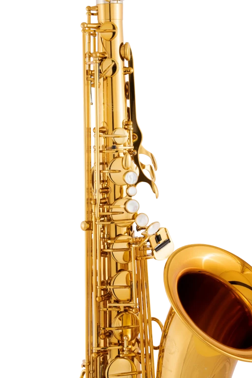 94DL HSP Professional Tenor Sax