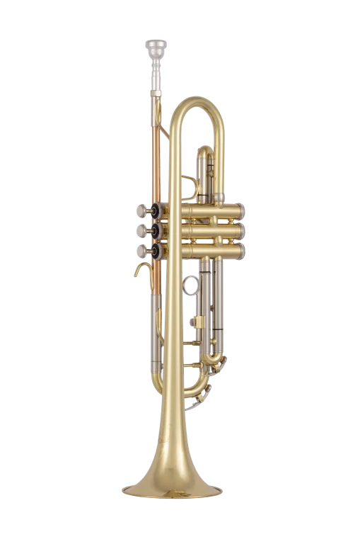 BTR212 Bach Beginner Trumpet