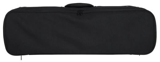 Scherl & Roth SR2146 Violin Case SR2146