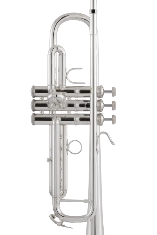 170S43GYR Bach Professional Trumpet