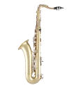 Selmer Tenor Saxophone in Bb STS301